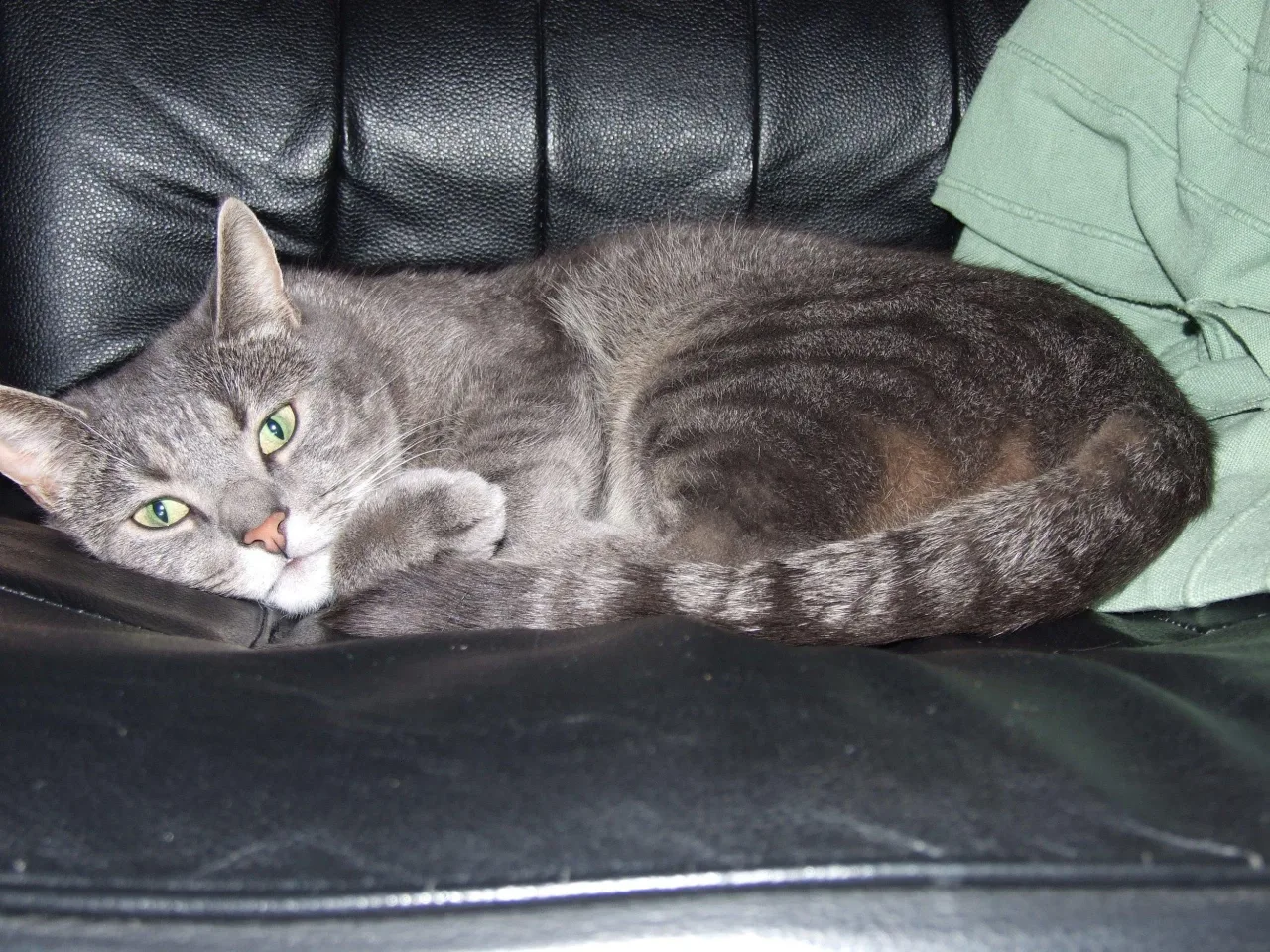 Sotis: Dads chair.